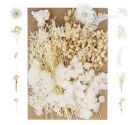Pinenuts Real Dried Pressed Flowers, Mixed Multiple Natural Flowers Leaves, Floral Art Home Decoration for DIY Resin Pendant, Candle Making and Nail Jewelry Crafts(White)
