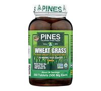 Pines Wheat Grass - Wheat Grass