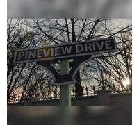 Pineview Drive (PC) Steam Key - GLOBAL