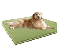 ping bu Washable Dog Bed Mat for Large Dogs,Deluxe Dog Bed Crate Mat Comfy Fluffy Kennel,Ultra Soft Pet Sleeping Beds Mattress for Large Jumbo Medium Small Dogs Non-slip (Green,19.7x31.5 inch)