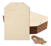 PINGEUI 20 Pcs 10 x 7 Inch Large Wooden Tags for Crafts, Unfinished Blank Wood Sign, Wooden Gift Tags Labels with Holes and 22cm Jute Twine for DIY Craft Supplies, Painting, Staining and Decorations