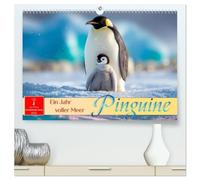 Pinguine - ein Jahr voller Meer (hochwertiger Premium Wandkalender 2026 DIN A2 quer), Kunstdruck in Hochglanz: Die wunderbare Welt der kleinen Frackträger.