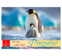 Pinguine - ein Jahr voller Meer (Wandkalender 2026 DIN A3 quer), CALVENDO Monatskalender: Die wunderbare Welt der kleinen Frackträger.