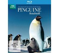 PINGUINE HAUTNAH - BBC EARTH- BLU-RAY NEW