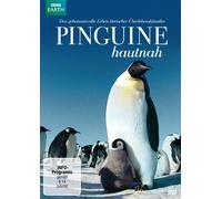 Pinguine hautnah (DVD) John Downer, Philip Dalton