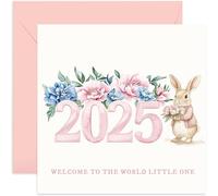 Pink 2025 Welcome To The World Little One New Baby Girl Greeting Card for Mummy Daddy Keepsake Sentimental Gifts for Parents Grandparents to Celebrate Birth of Son Grandson - Cute Bunny Rabbit