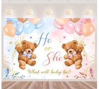 Pink and Blue Gender Reveal Background Banner She Or He Background Banner Gender Reveal Party Decoration Balloon Cloud Bear Pregnancy Announcement Backdrop for Baby Shower Decoration 180 * 120cm (D)