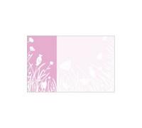 Pink And White Wild Flower Illustration Cards Pack Of 300