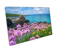 Pink And Yellow Flowers On The Coast Of St. Ives Cornwall England UK Wall Art Print On Canvas Picture For Home Office Decor 45x30cm (18x12In)