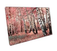 Pink Birch Grove Natural Woodland Wall Art Print On Canvas Picture For Home Office Decor 76x51cm (30x20In)