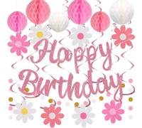 Pink Birthday Decorations, NO DIY, Pre-Strung Happy Birthday Banner with Honeycomb Balls, Hanging Swirls, Circle Dots Garland, Happy Birthday Party Decorations for Women Men Boys Girls