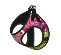 Pink Blooming Orchard Print Harness Leash Set For Cats And Dogs, Reflective Adjustable, Soft Breathable Mesh Vest With Escape-Proof Lead, For Small Pets And Kitten Puppies