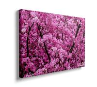 Pink Blossom Canvas Wall Art Decor for Living Room Bedroom Modern Home Floral Print Nature Inspired Gift Spring Refresh Ready to Hang Elegant Stylish Interior Artwork Flower(12x18inch,Framed)