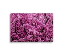 Pink Blossom Canvas Wall Art Decor for Living Room Bedroom Modern Home Floral Print Nature Inspired Gift Spring Refresh Ready to Hang Elegant Stylish Interior Artwork Flower(16x24inch,Unframed)