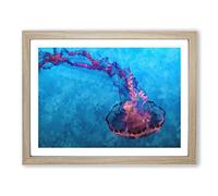 Pink & Blue Jellyfish Painting Modern Art Framed Wall Art Print, Ready to Hang Picture for Living Room Bedroom Home Office Décor, Oak A2 (64 x 46 cm)