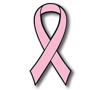 Pink Breast Cancer Awareness Ribbon Car Magnet Decal Heavy Duty Waterproof