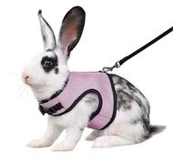 Pink Bunny Harness and Leash, Escape Proof Rabbit Harness and Leash Set, Cute Bunnies Vest Clothes Stuff Accessories - Suit for 2-3months Young Rabbit, 2-4months Ferret, 3-5months Guinea Pig, M