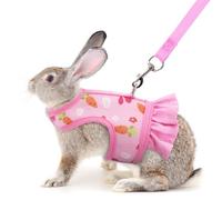 Pink Bunny Harness and Leash, Escape Proof Rabbit Harness and Leash Set, Cute Bunnies Vest Clothes Stuff Accessories - Also Suit for Ferret Kitten Puppy Small Animals, M(Juvenile Rabbit)