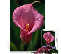 Pink Calla Lily with Water Droplets Jigsaw Puzzle 1000 Piece for Teenagers Logic Train Toy Light Relax Smooth Cut Wall Art Decor (50x75cm)