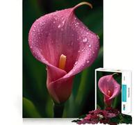 Pink Calla Lily with Water Droplets Jigsaw Puzzle 1000 Piece for Teenagers Logic Train Toy Light Relax Smooth Cut Wall Art Decor (50x75cm)