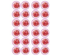 Pink Carnation Flower Edible Cupcake Toppers - Botanical Floral Decorations - 24 x 4cm/1.5 Inch Discs (UNCUT)