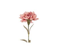 Pink Carnation Stem With Ruffled Blush-Pink Petals For Floral Arrangements