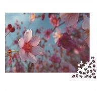 Pink Cherry Blossoms 1000 Piece Jigsaw Puzzle for Adults Close-up Shot of Delicate Pink Cherry Blossoms Challenging Premium Thick Sturdy Vibrant Stress Relief 70x50cm/1000pcs