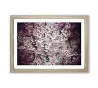 Pink Cherry Blossoms Framed Print | A2 Oak Framed Wall Art | Ready to Hang | Modern Floral Picture | Living Room Bedroom Lounge Office