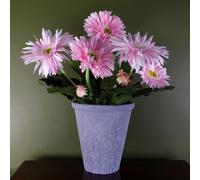 Pink Daisy Flowers Plant Flowering Plant Artificial Botanik Leaf Pink One Size