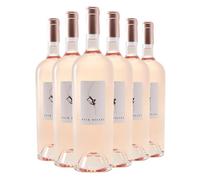 Pink Diesel Provence Rosé Magnum | Light, Crisp Refreshing Rosé Wine Provence IGP Méditérranée 12.5% ABV | 6 x 150cl Bottles