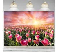 Pink Dutch Tulips Field Backdrop Spring Sunset Sky Farm Photographic Background Newborn Baby Birthday Wedding Decor Banner 210X150cm