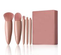 Pink Easy-taken Travel Makeup Brush Set with Mirror, 5 pcs Mini Complete Function Cosmetic Brushes Kit (4.2 inch *3.0 inch)
