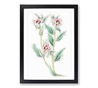 Pink Evening Primrose Flowers Framed Print | A2 Black Framed Wall Art | Ready to Hang | Modern Floral Picture | Living Room Bedroom Lounge Office