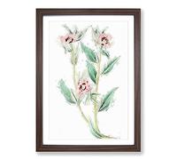 Pink Evening Primrose Flowers Framed Print | A2 Walnut Framed Wall Art | Ready to Hang | Modern Floral Picture | Living Room Bedroom Lounge Office