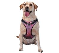 Pink Ferris Wheel Dog Harness for Small, Medium, and Large Dogs-Adjustable, Breathable Dog Vest with Quick Release Buckles
