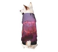 Pink Ferris Wheel Dog Hoodie for Small, Soft Breathable, Pet Clothes for Small