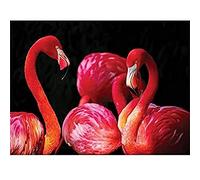 Pink Flamingo Bird Group Canvas Wall Art Print