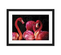 Pink Flamingo Bird Group Large Art Print Poster Wall Decor 18x24 inch Supplied Ready To Hang With Included Mount Brackets