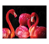 Pink Flamingo Bird Group Large Canvas Wall Art Print