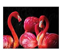 Pink Flamingo Bird Group Wall Art Print