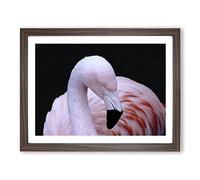 Pink Flamingo Bird No.1 Modern Framed Wall Art Print, Ready to Hang Picture for Living Room Bedroom Home Office Décor, Walnut A4 (34 x 25 cm)