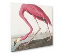 Pink Flamingo by John James Audubon Canvas Print | Gallery Wrapped 30mm Frame Wall Art | 14x14 inches | Ready to Hang | Modern Animals Picture | Living Room Bedroom Lounge Office