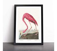 Pink Flamingo by John James Audubon - | Framed Wall Art Print | Modern Home Decor Picture | Ready to Hang Artwork for Living Room, Bedroom, Kitchen or Office | Multiple Sizes