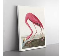 Pink Flamingo By John James Audubon Vintage Canvas Wall Art Print Ready to Hang, Framed Picture for Living Room Bedroom Home Office Décor, 60x40 cm (24x16 Inch)