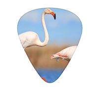Pink Flamingo in Water Printed Guitar Picks Personalized Guitar Plectrums 12 Pcs For Acoustic Guitar Electric Guitar And Bass Bulk Guitar Pick One Size