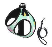 Pink Flamingo Pineapples Print Small Dog Harness And Leash Set, Adjustable Soft Vest With 360° Reflective Straps For Cats Puppy