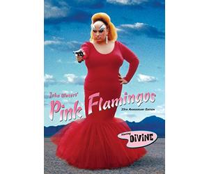 Pink Flamingos:25th Anniversar [DVD-AUDIO] [DVD-AUDIO]