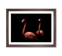Pink Flamingos Modern Art Framed Wall Art Print, Ready to Hang Picture for Living Room Bedroom Home Office Décor, Walnut A3 (46 x 34 cm)