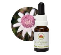 Australian Bush Flower Essences Pink Flannel Flower 15ml