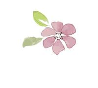 Pink Flower 2 Women's T-Shirt - White - XXL - White